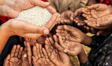 BM'den 30'dan fazla ülke için 'açlık ve kıtlık' uyarısı