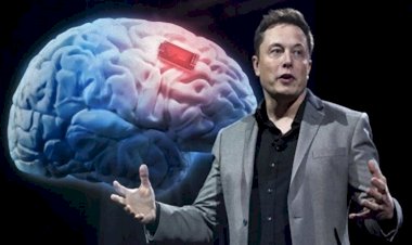 Elon Musk'ın beyin çipi insan üzerinde de denenecek