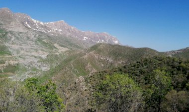 YNK Zine Wertê’ye kontrol noktası yerleştirdi