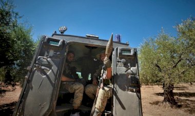 Silahlı gruplar Afrin'de 15 bin zeytin ağacına el koydu