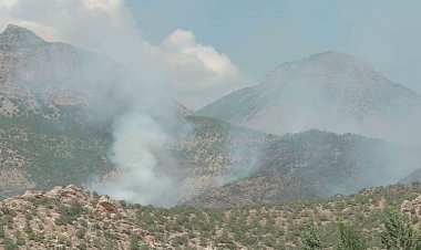 TSK’nın hava saldırıları nedeniyle 4 köyde yangın çıktı