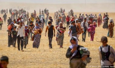 Irak hükümetinden Ezidi kadınlara ekonomik destek