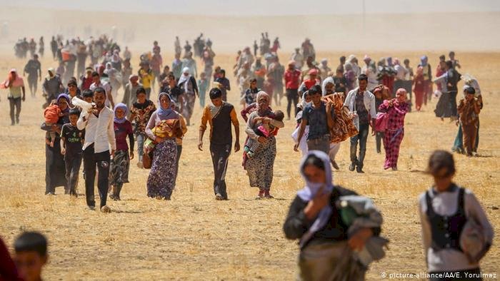 Irak hükümetinden Ezidi kadınlara ekonomik destek