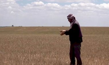 Suriye ve Rojava’da kuraklık uyarısı: 'Durum tamamen bir felaket'