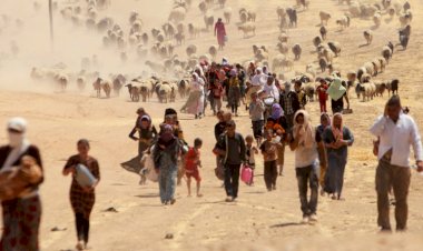 Belçika Parlamentosu Ezidi Soykırımı'nı tanıyan tasarıyı kabul etti