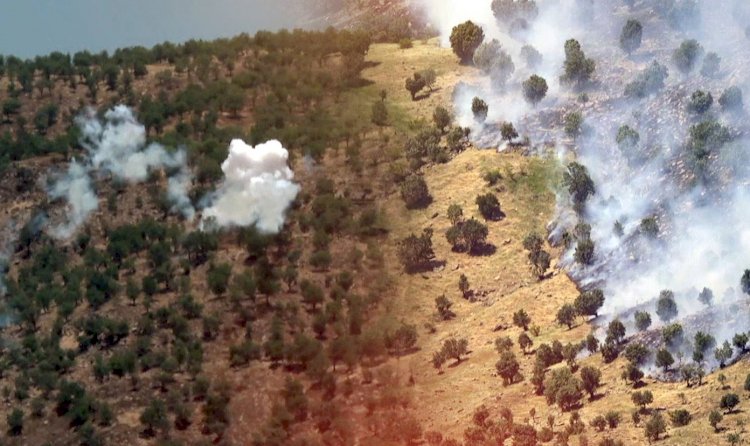 Duhok ve Şırnak Valiliklerinden ağaç kesimlerine karşı ortak karar