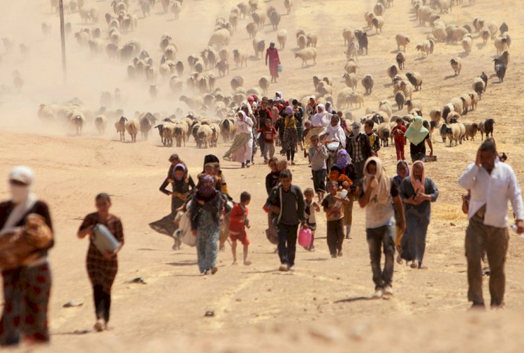 Belçika Parlamentosu Ezidi Soykırımı'nı tanıyan tasarıyı kabul etti