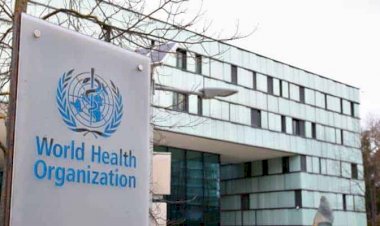 DSÖ: 'Böyle giderse yeni dalga kaçınılmaz'