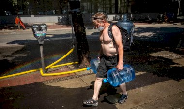 Kanada'da aşırı sıcaklardan ölenlerin sayısı 719'a yükseldi