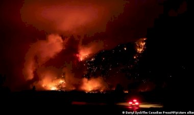 Kanada'da aşırı sıcaklar: Orman yangınları tehlikeli boyutta