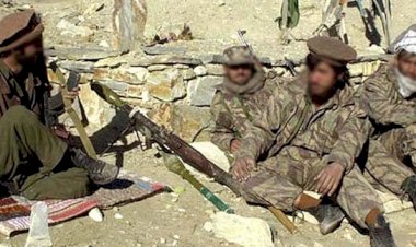 Afganistan: 81 Taliban üyesi öldürüldü