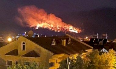 Muğla Fethiye Ölüdeniz'de orman yangını başladı