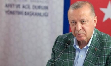 Erdoğan: '(Orman yangınları) Bu, siyaset konusu yapılacak bir mesele değildir'