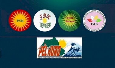 Kürt parti ve hareketler: Tüm Kürtler ortak tutum almalı