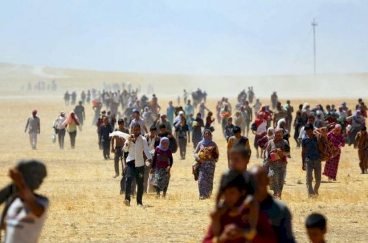 Hollanda, Ezidi Soykırımı'nı resmen tanıdı