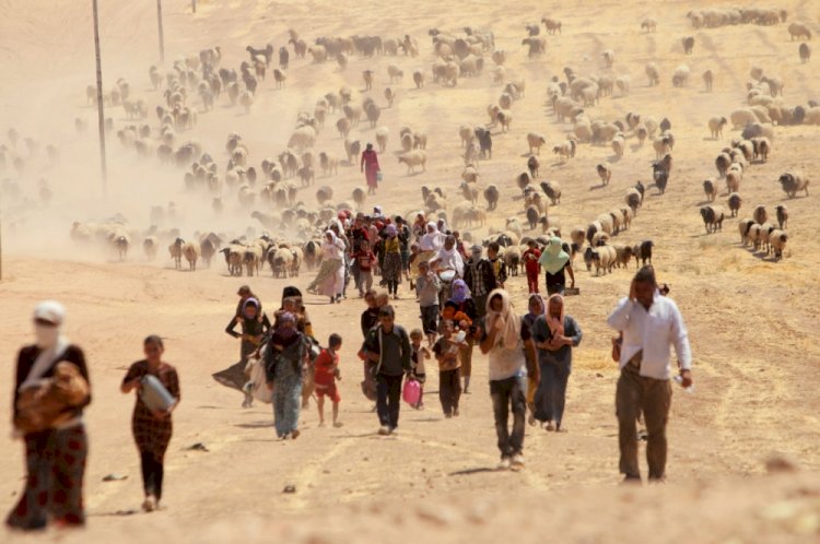 Belçika Parlamentosu Ezidi Soykırımı tasarısını oylayacak