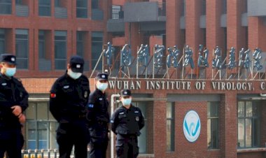 ‘Corona Virüsü Çin’deki Laboratuvardan Yayıldı'