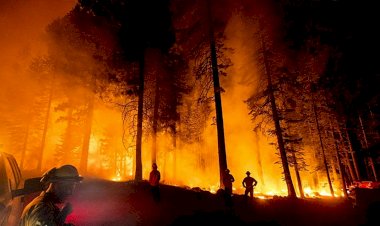 KCK'den orman yangınları açıklaması