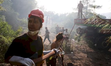Guardian'dan orman yangınları yorumu: 'Türkiye'de hükümete öfke büyüyor'