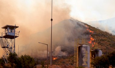 Muğla Milas'taki yangın termik santrale ulaştı!