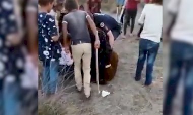 Çorum’da Urfalı mevsimlik tarım işçilerine bıçaklı saldırı: 5 işçi yaralandı