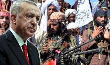 Fehim Taştekin - Taliban'ı kollama ve dizginleme işini Erdoğan'a mı verdiler?