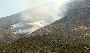 Dersim'deki yangına 13 gün sonra havadan müdahale başladı