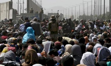 İngiltere'den Taliban mesajı: Karar vermek için henüz erken