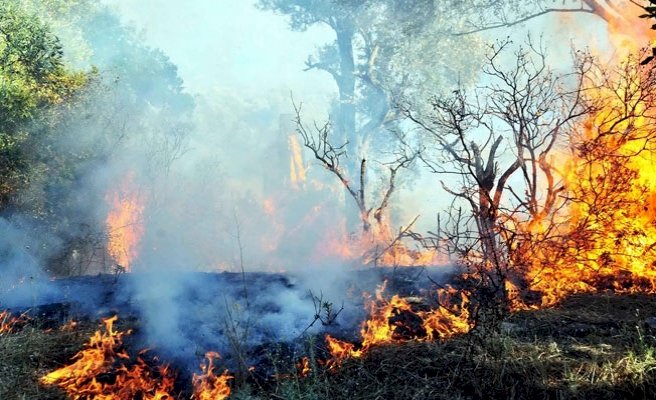 'Türk Devleti Dersim ve Şırnak’ta yanan ormanlara kimsenin müdahale etmesine izin vermiyor'