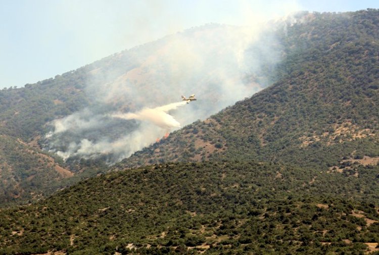 Dersim'deki yangına 13 gün sonra havadan müdahale başladı