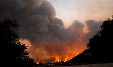 Şemdinli’de orman yangını: Yangın köylere ulaşmak üzere