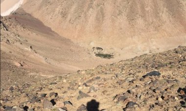 Süphan Dağı'ndaki 3 krater gölü kurudu