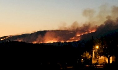 Türkiye Devleti Dersim ve Şırnak’ta yanan ormanlara kimsenin müdahale etmesine izin vermiyor