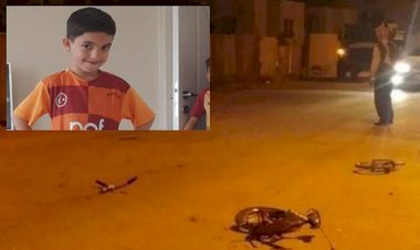 Zırhlı aracın sürücüsü polis hakkında suç duyurusu