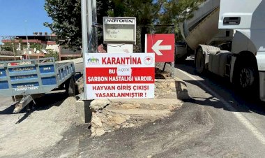 Siirt'te şarbon tespit edildi; bölge karantinaya alındı