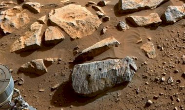 Mars’tan toplanan kaya örnekleri kızıl gezegende eskiden yaşam olduğu görüşünü güçlendiriyor