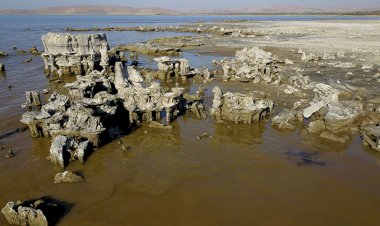 Van Gölü'nde su çekilince binlerce yıllık mikrobiyalitler görüntülendi