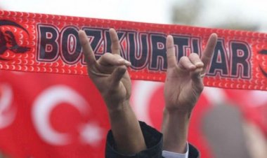 ABD Temsilciler Meclisi'nde 'Bozkurtlar' için 'terör soruşturması' önergesi
