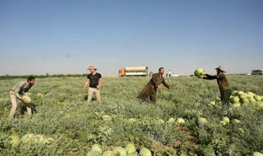 ABD’den Kürdistan Bölgesi’nde 1 milyon dolarlık tarım desteği