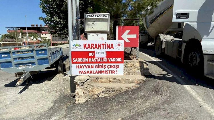 Siirt'te şarbon tespit edildi; bölge karantinaya alındı