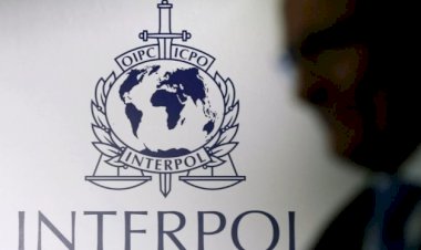 Suriye yeniden Interpol'e kabul edildi