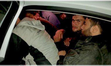 Bitlis'te 2 otomobilde 29 göçmen yakalandı