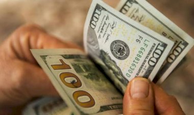 Dolar fiyatlarında tarihi rekor:  9 TL'yi geçti