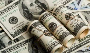 Yine bir rekor! Dolar 9.74'ü gördü