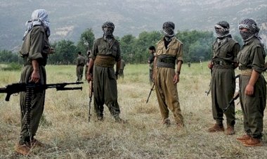 Yazar Hoşeng Ose, PKK'nin gizli planını açıkladı