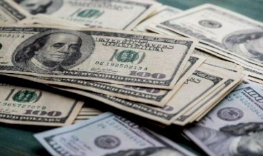 Dolar/TL 11.70'in üstünü gördü