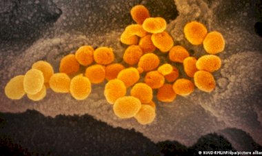 Dünyada Omicron endişesi büyüyor