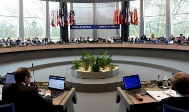 Türkiye'den Avrupa Konseyi'ne Osman Kavala tepkisi