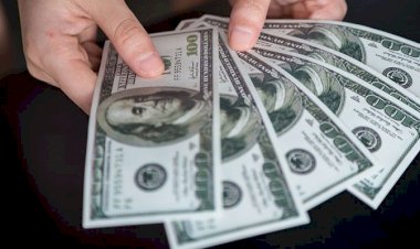 Dolar 14,46'yı gördü, avro 16 TL'yi aştı