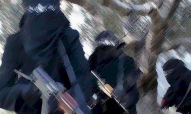 Kerkük'te IŞİD Kürt köylerine gece baskınları düzenliyor